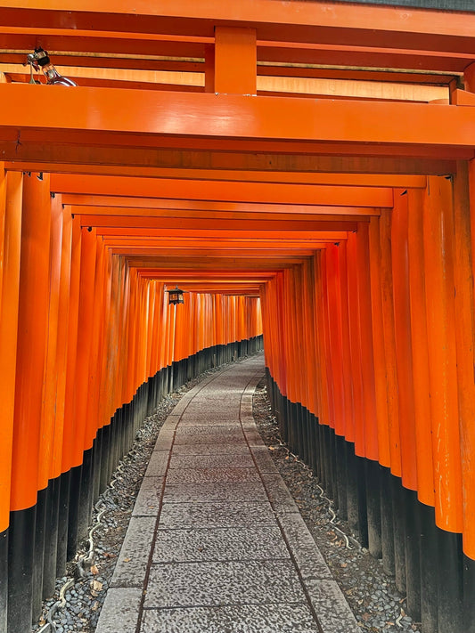 訪日客に伝えたい　神社について思うこと