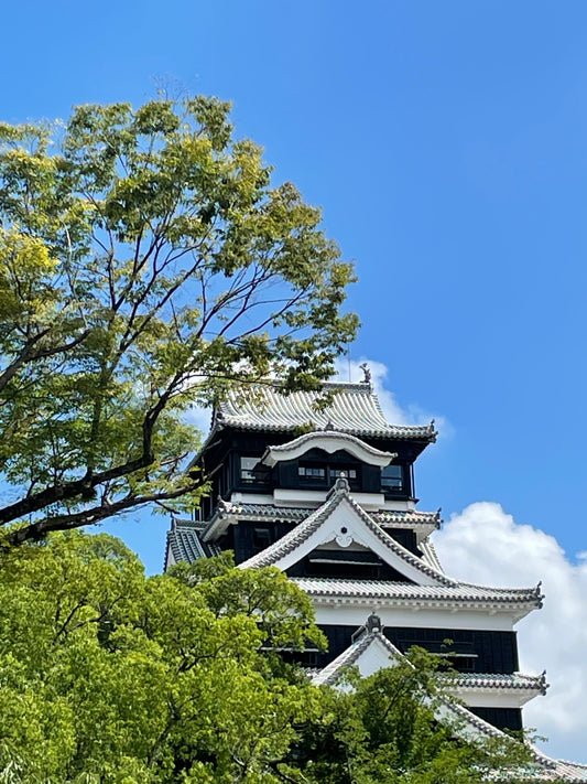 熊本城と水前寺公園　歴史を巡る旅