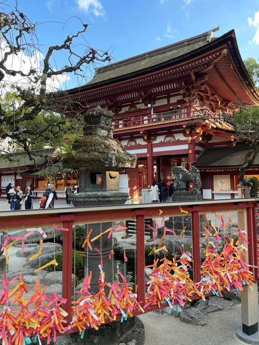 太宰府　古代史を学ぶ旅　　　　　　