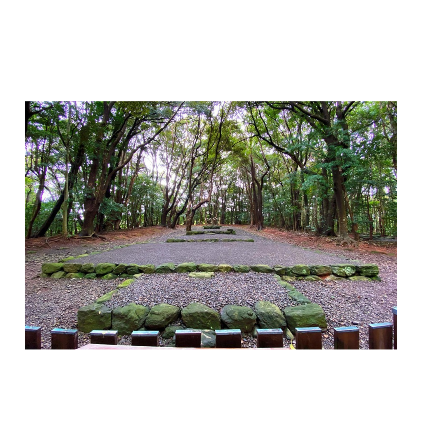 World Heritage Site Munakata Taisha Shrine - Reflect on the history of exchange across the sea